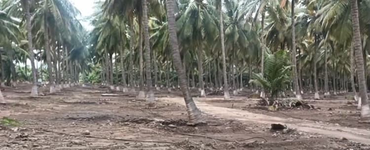 Land for Sale