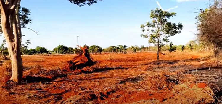 Land for sales