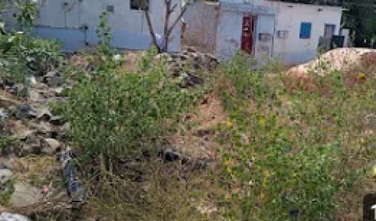 Land for sales