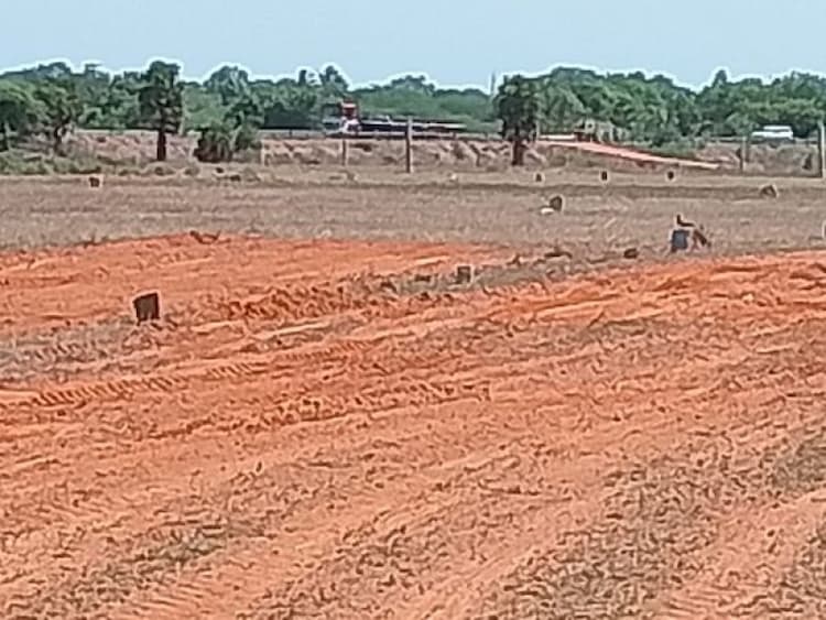 land sale
