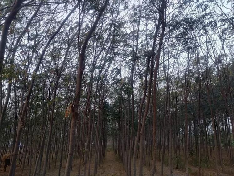 18 Acre land for sales