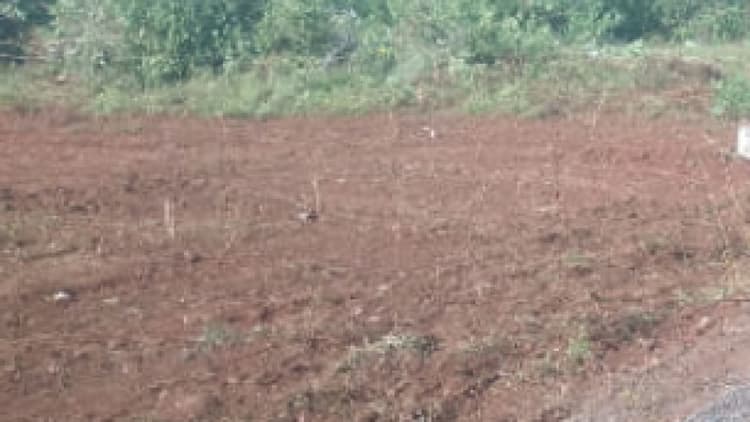 land for sales