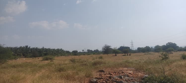 Plot sale