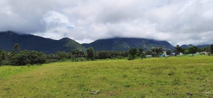 FARM LAND FOR SALE