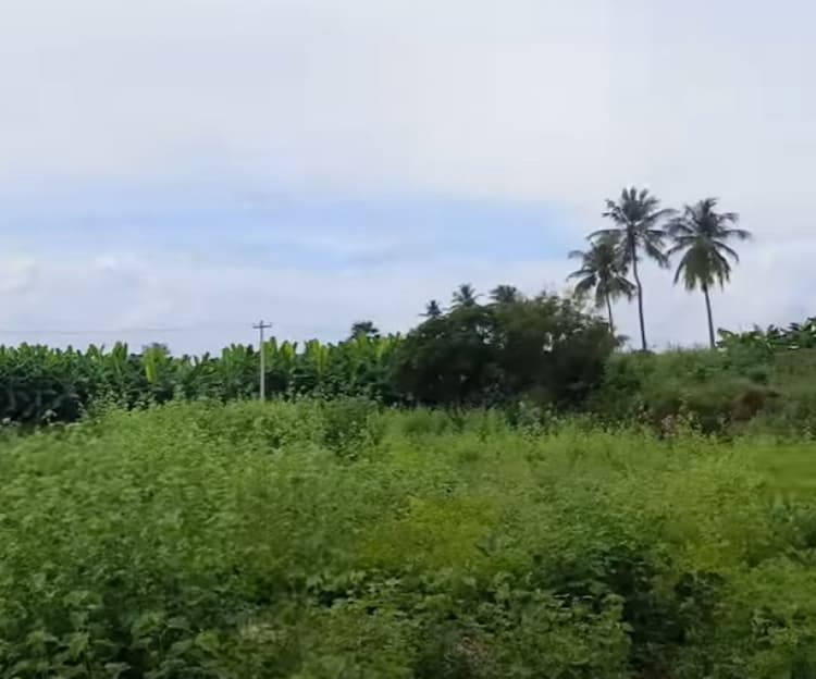 Land for sales
