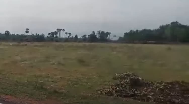 Land for sales