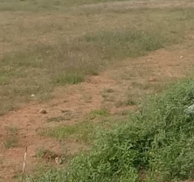 land for sales