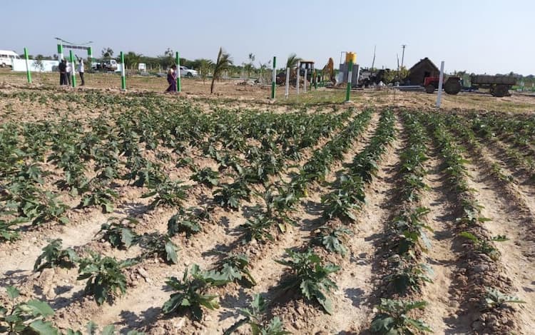 Single Property Image