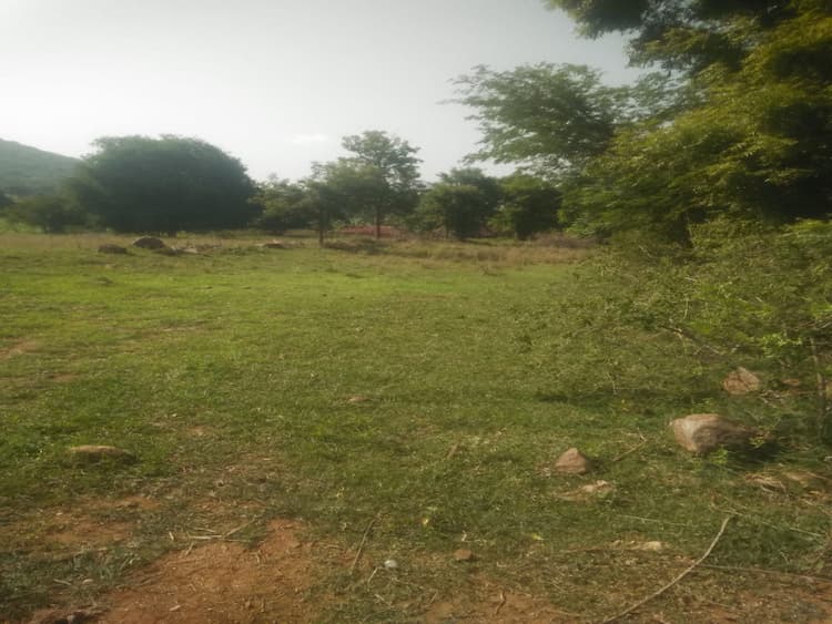 Agricultural Land
