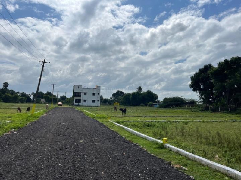 Residential Plot
