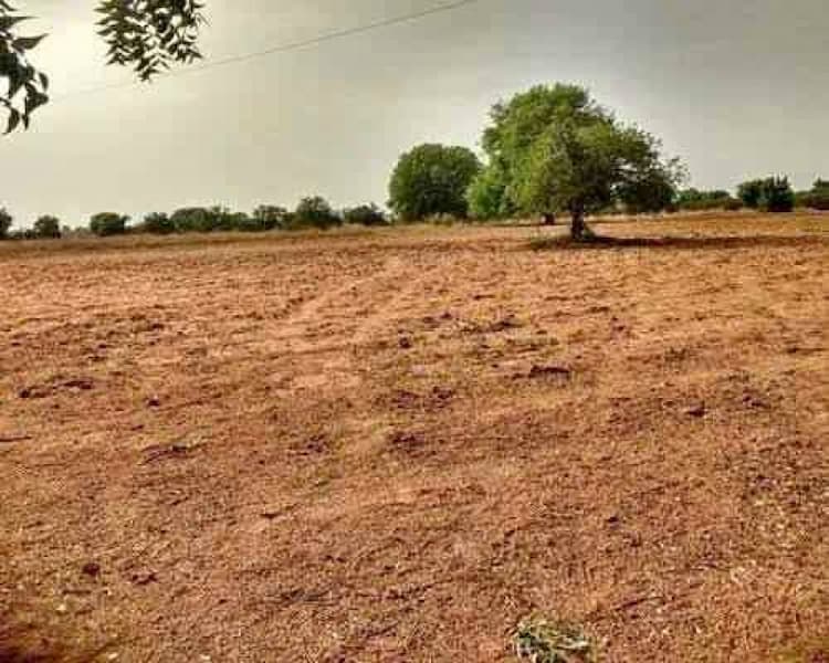 2 Acre Land for Sale