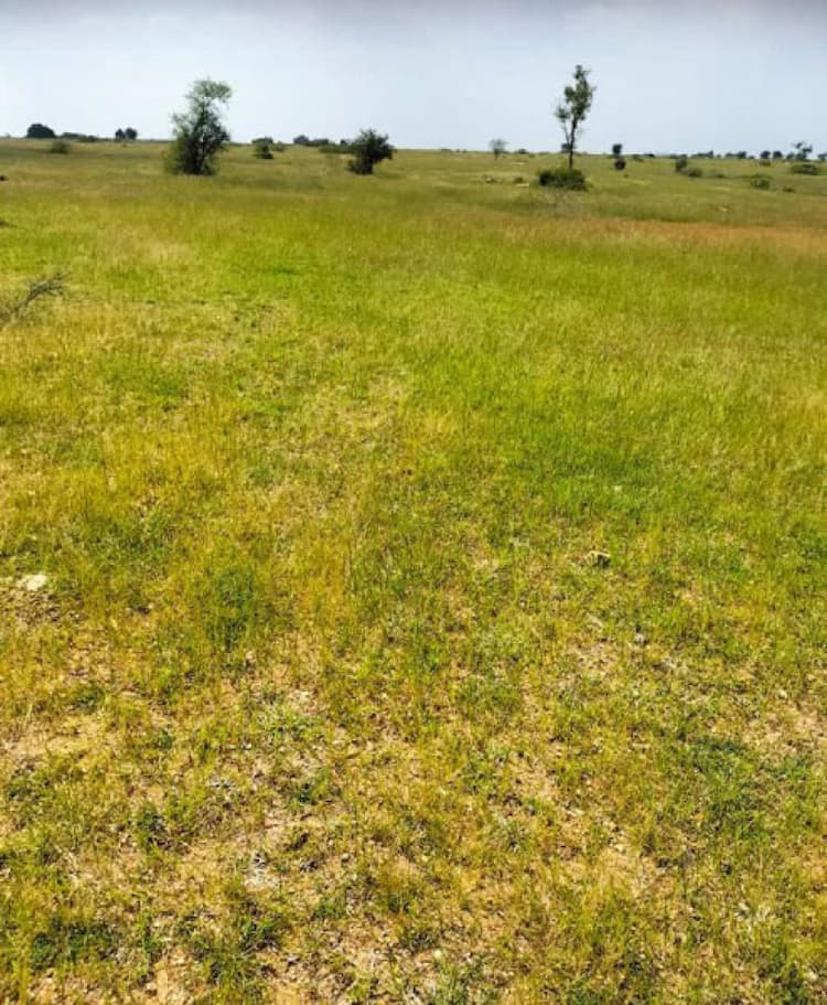 Agricultural Land