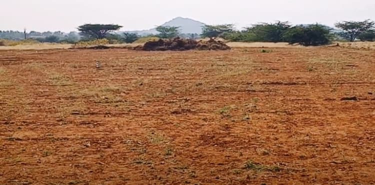 Land for sales