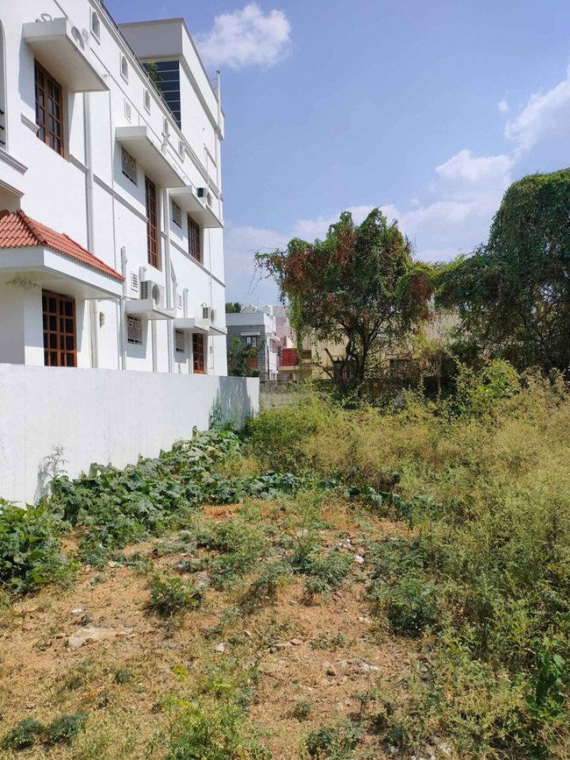 site for sale