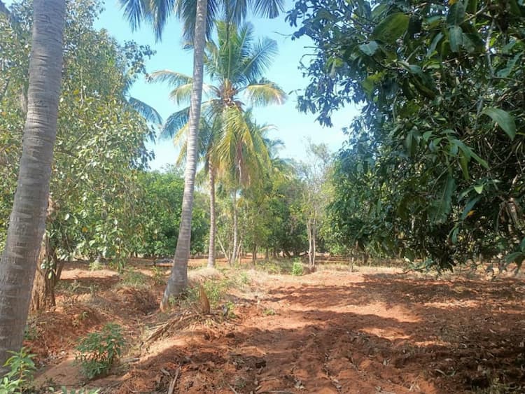 Farm land for sale