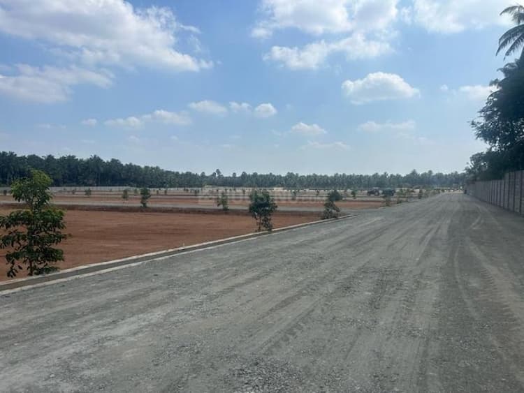 Residential Plot