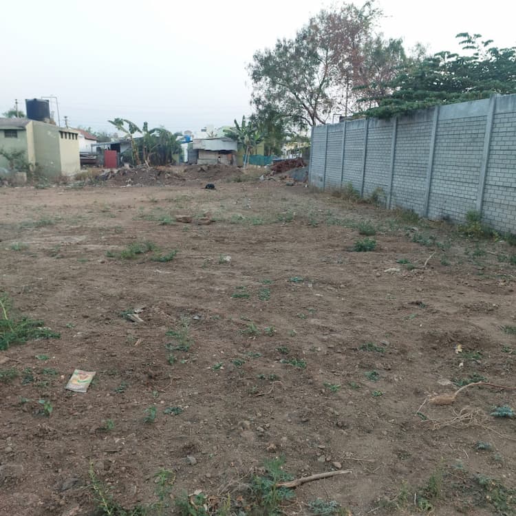 Plot for sales