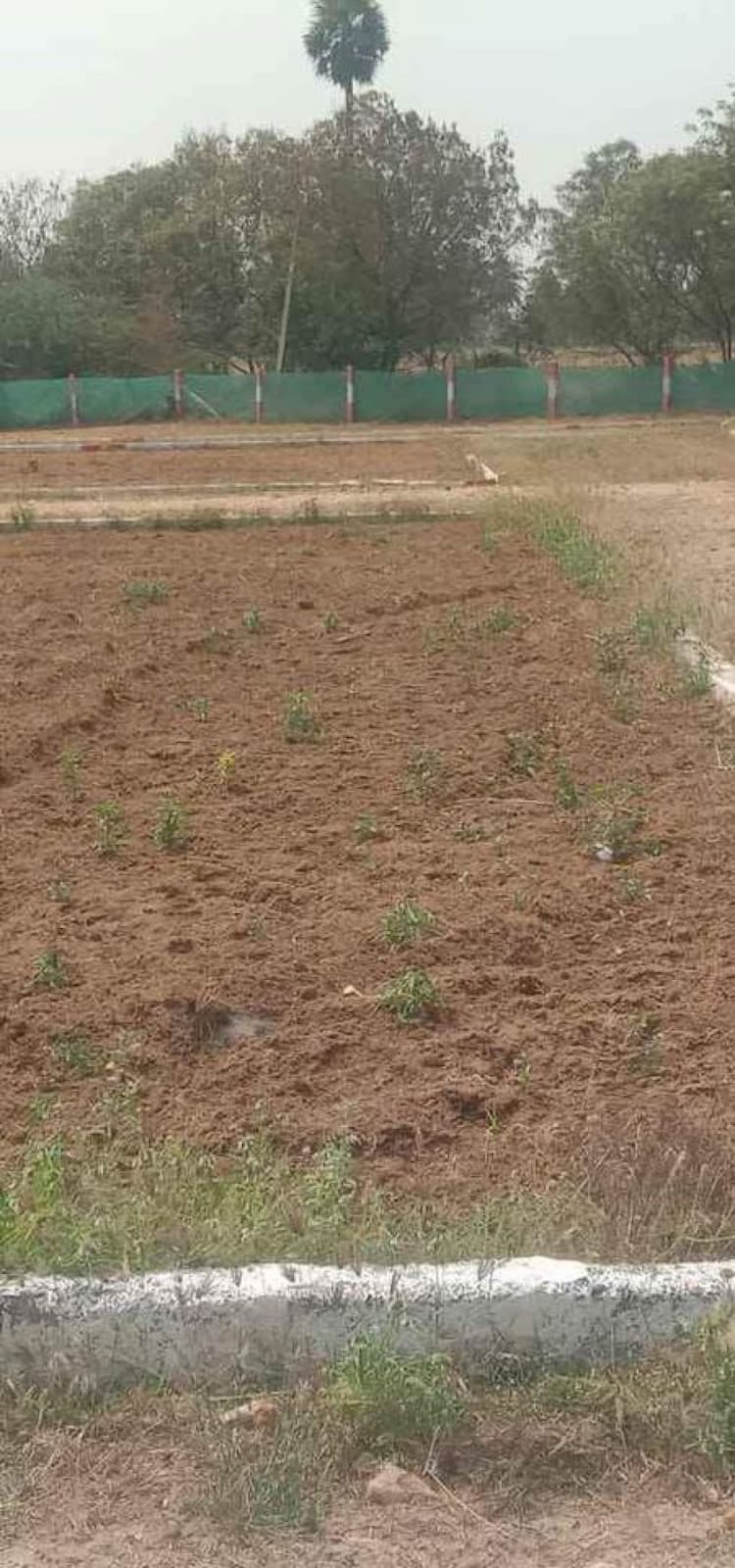 Land For Sales