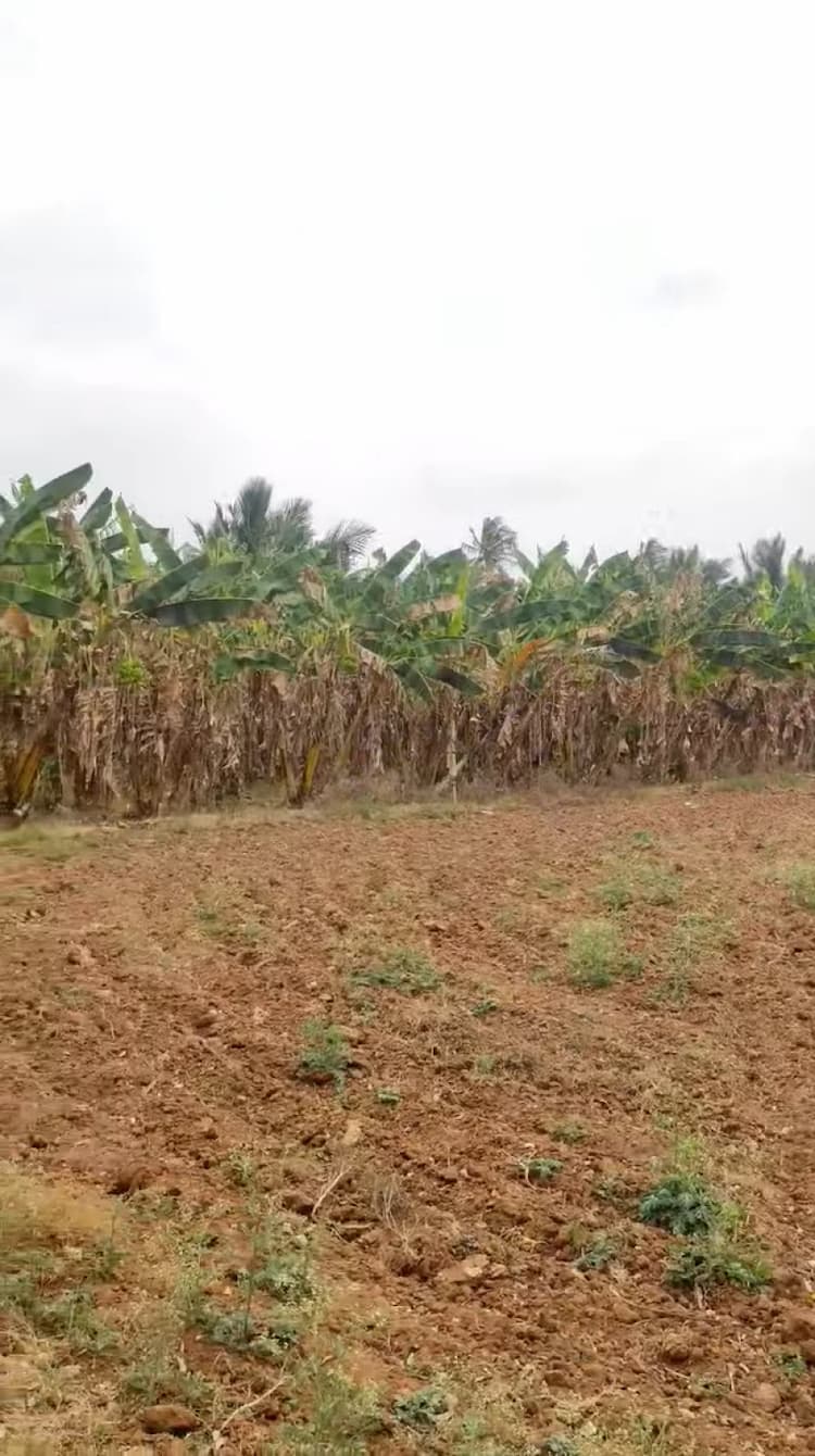 Farm Land for Sale