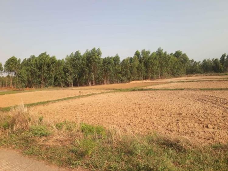 Low Budget Land for Sale