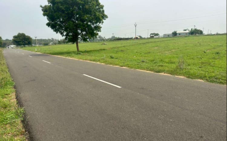 50 Cent Farm Land for Sale in Aandipalayam