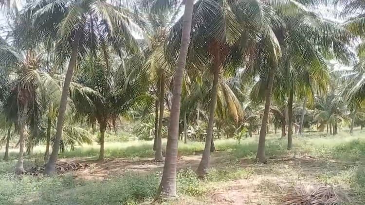 2.30 Acre Land for Sale