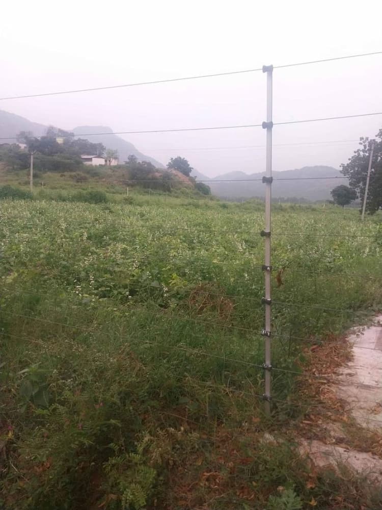 Farm Land For Sale