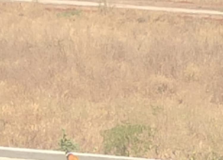 land for sales