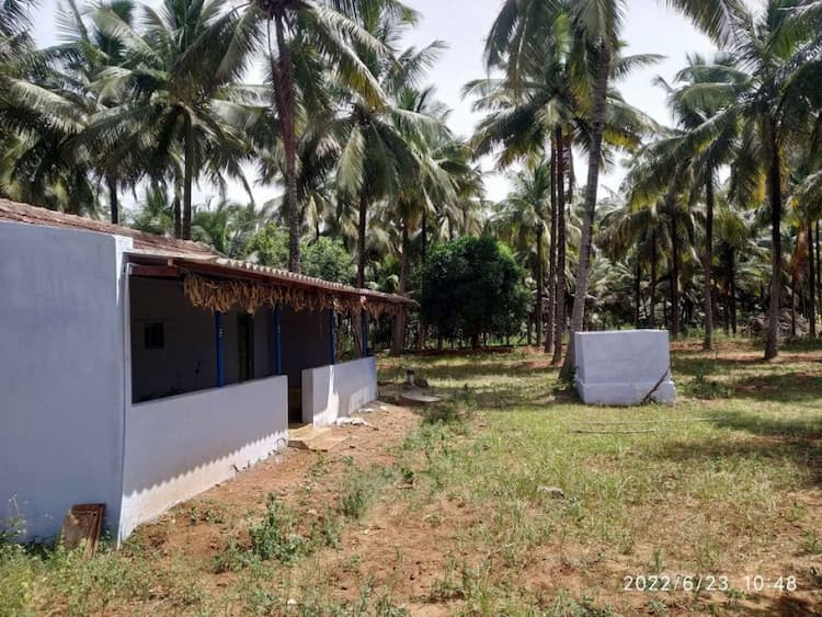 coconut land for sale pollachi