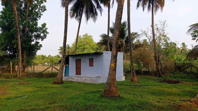  coconut thottam for sale