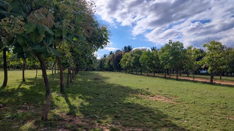 Single Property Image