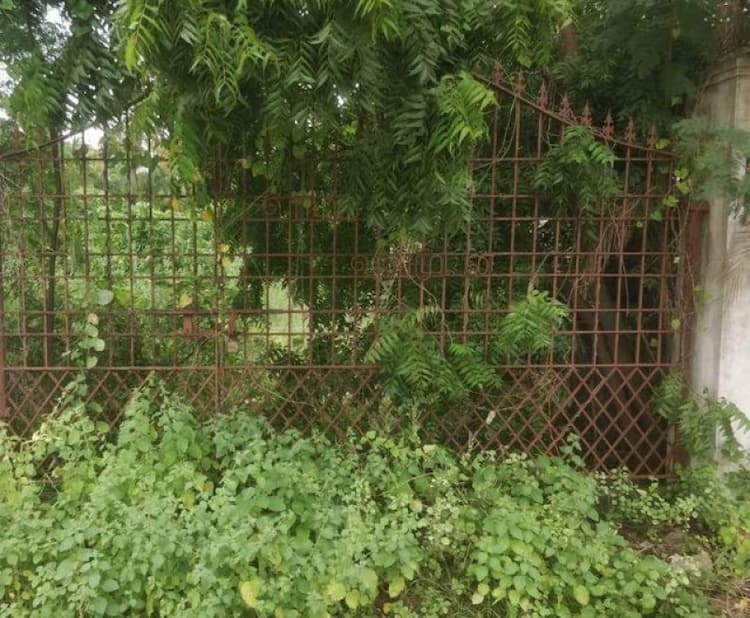 Land for sales