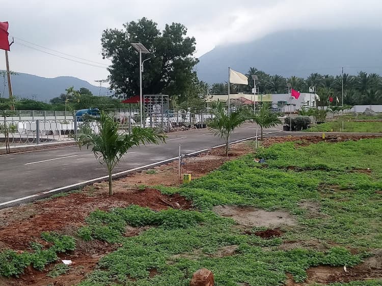 Single Property Image