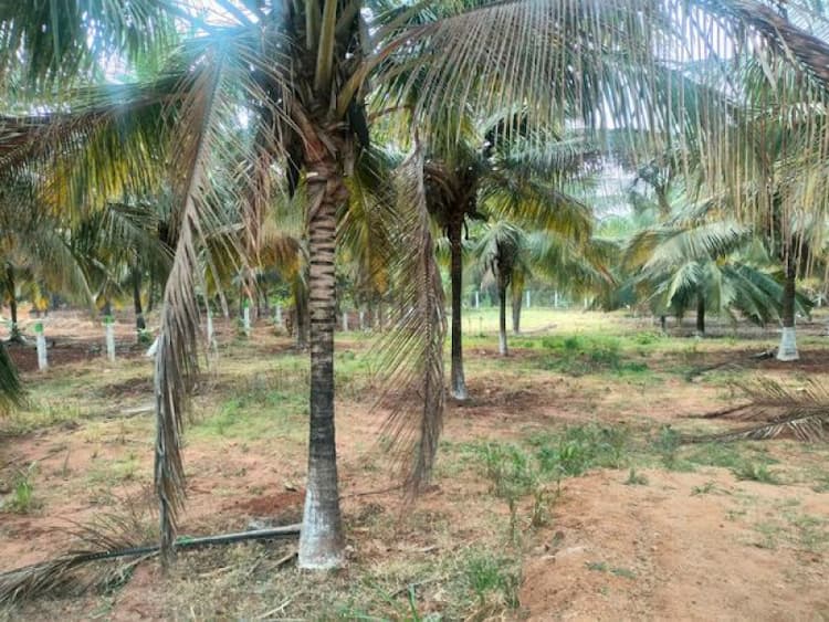 Single Property Image