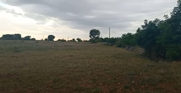 Land for sales
