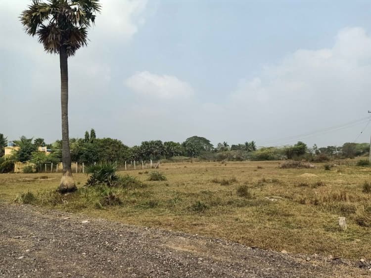 site for sale