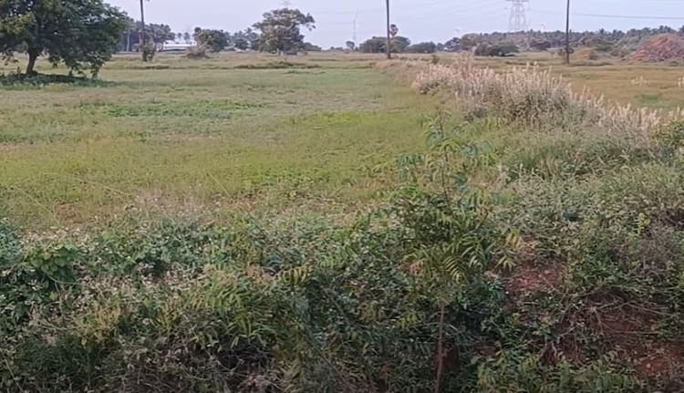 Single Property Image