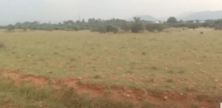 10 Acre for Sales