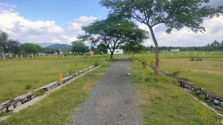 Land For  Sale