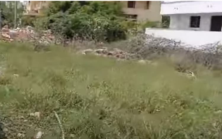 Land for sales