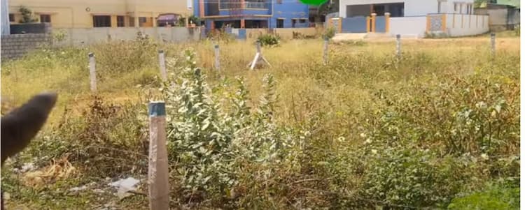Land for sales