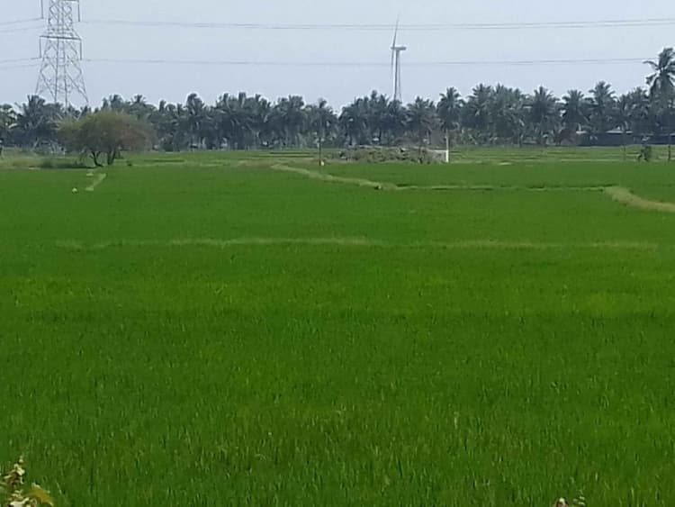 Farm Land for Sale