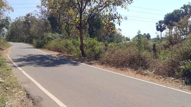 Agriculture land for sale
