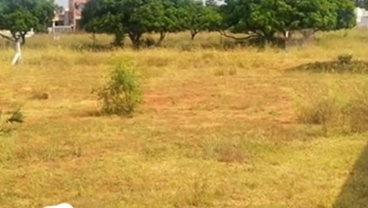 Land for sales