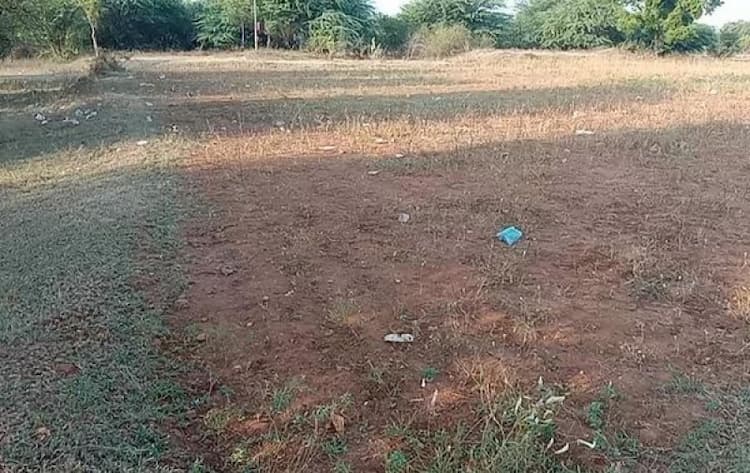 Farm land sale