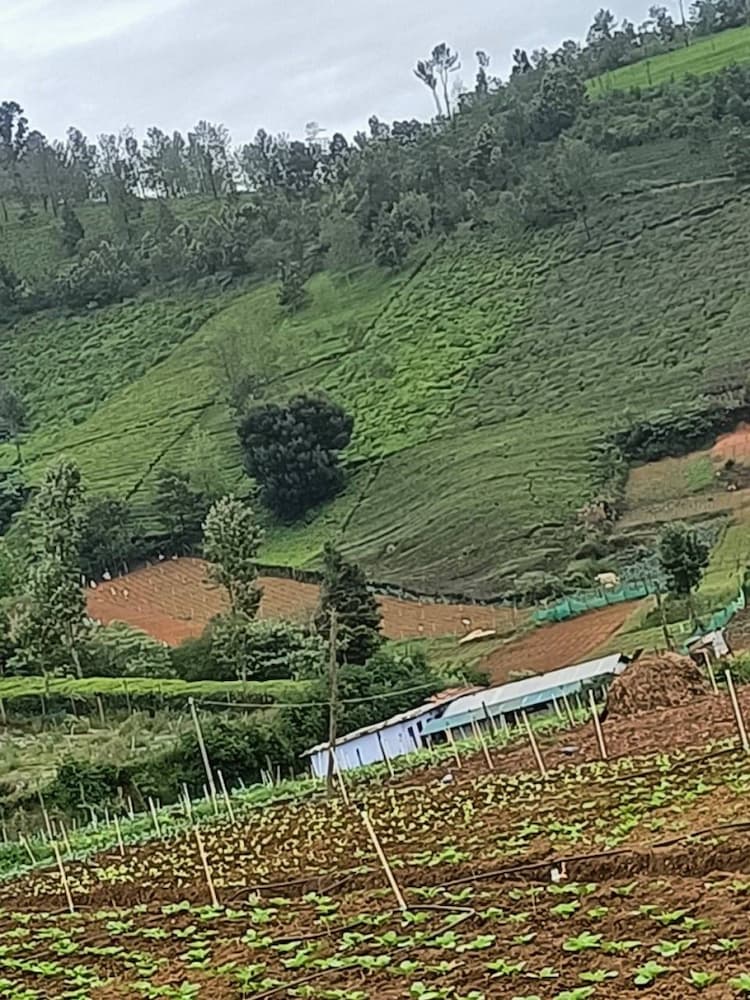 LAND FOR SALE IN OOTY NEAR LOVEDALE