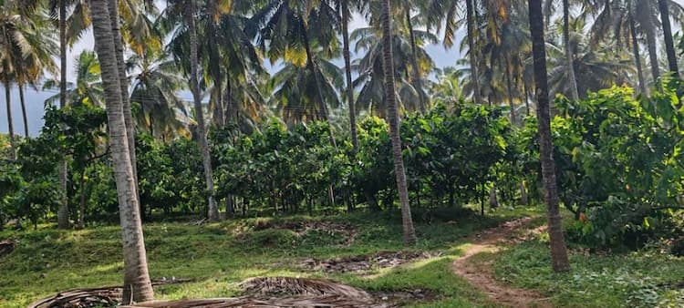 Single Property Image