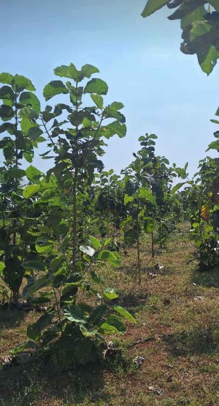 Single Property Image