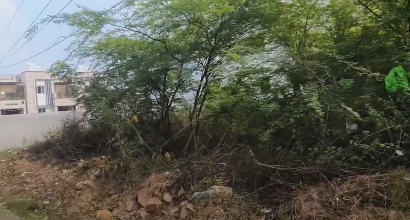Land for sales