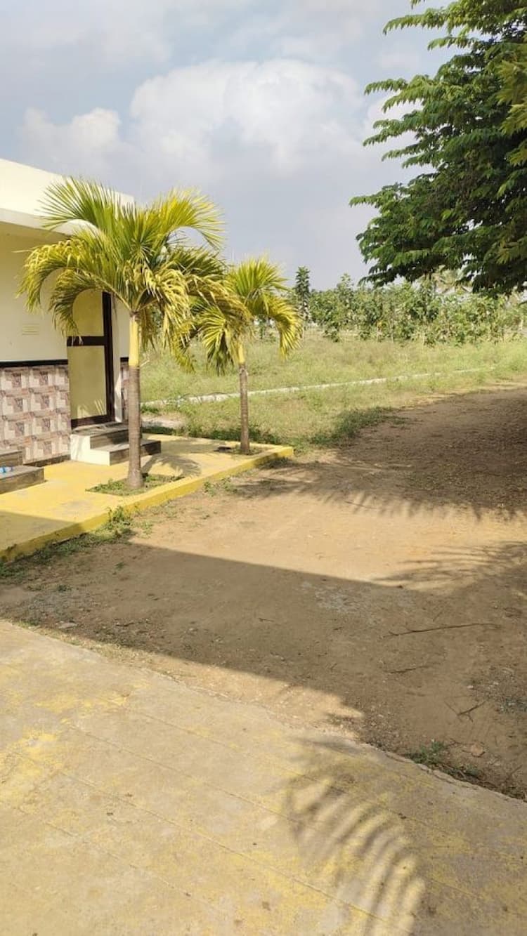 Farmland with teak trees for sale